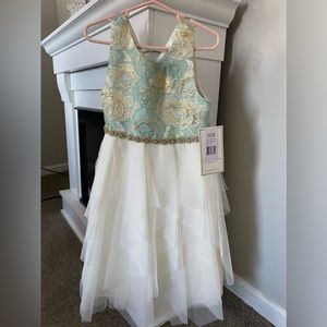 Princess dress size 6.  Never worn